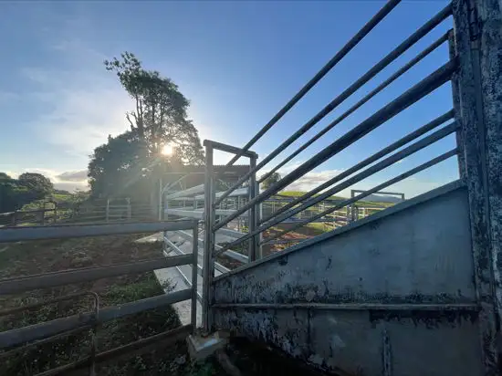 Third view of Homely rural property listing, Lot 2 Dinner Creek Road, Eubenangee QLD 4860