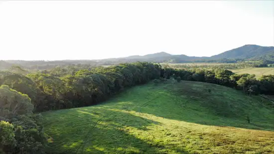 Seventh view of Homely rural property listing, Lot 2 Dinner Creek Road, Eubenangee QLD 4860