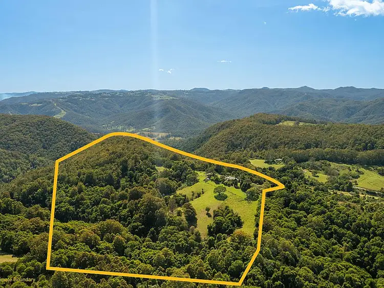Third view of Homely rural property listing, 196 Tilbaroo Rd, Elands NSW 2429