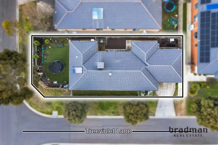 Main view of Homely house listing, 16 Treeviolet Lane, Wallan VIC 3756