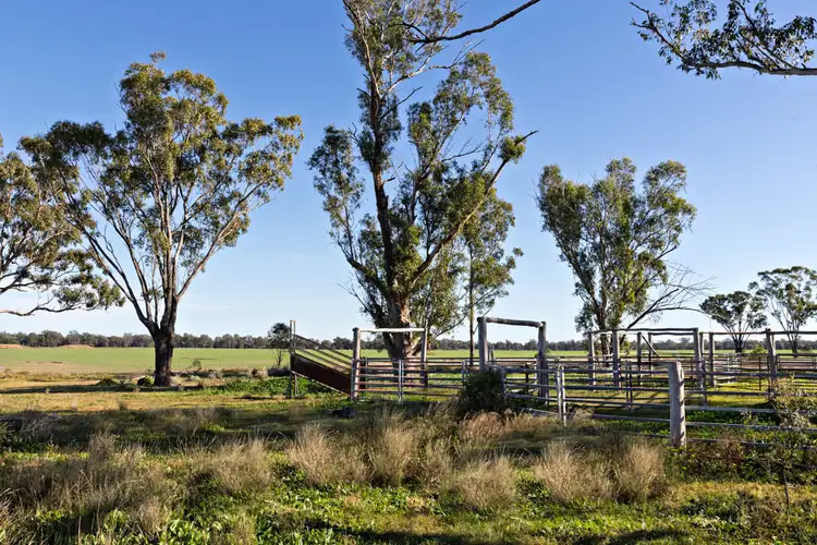 Third view of Homely rural property listing, Curragada, Terry Hie Hie NSW 2400