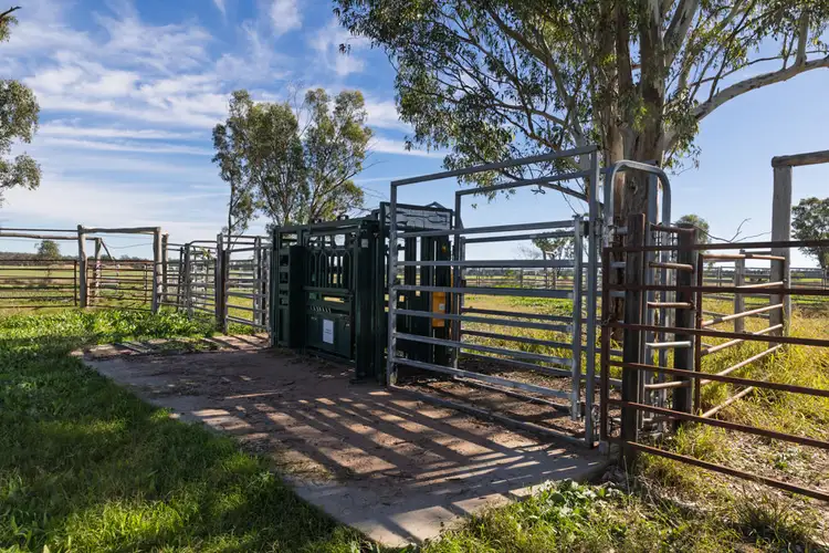 Fourth view of Homely rural property listing, Curragada, Terry Hie Hie NSW 2400