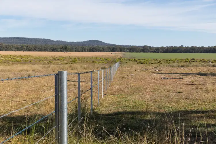 Fifth view of Homely rural property listing, Curragada, Terry Hie Hie NSW 2400