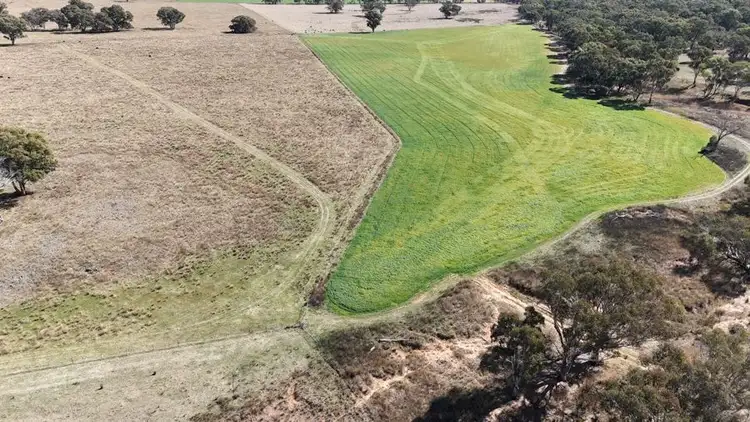 Fifth view of Homely rural property listing, 176 Uphills lane Purlewaugh, Coonabarabran NSW 2357