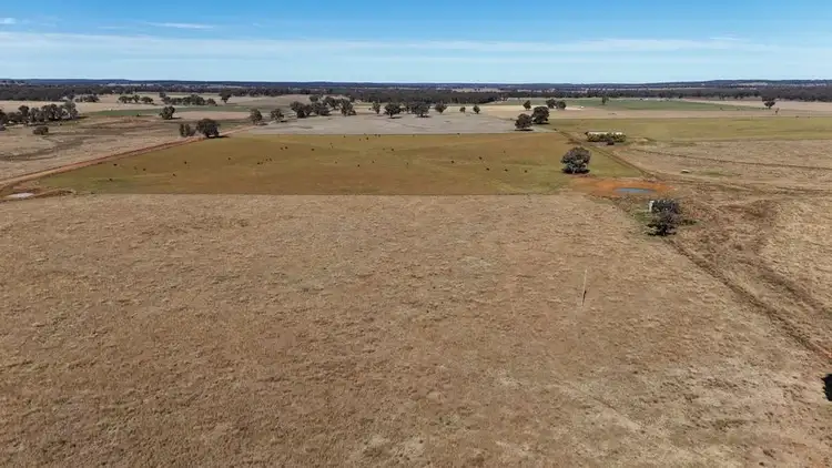 Sixth view of Homely rural property listing, 176 Uphills lane Purlewaugh, Coonabarabran NSW 2357