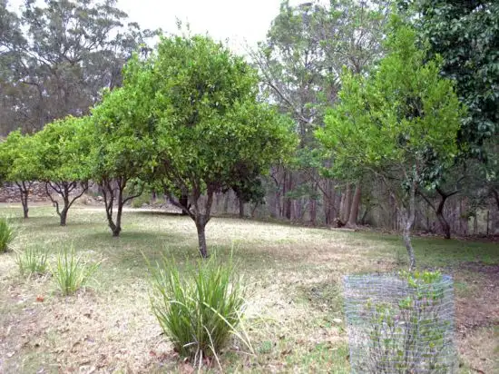 Sixth view of Homely rural property listing, 97 Una Road, Bucketty NSW 2250