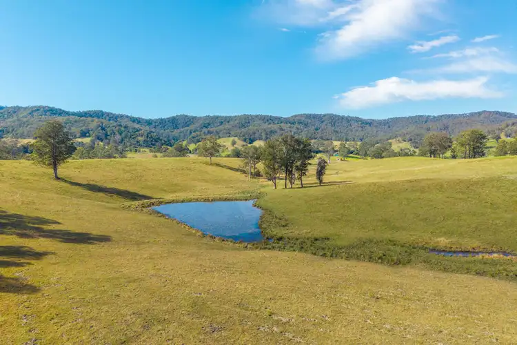 Second view of Homely rural property listing, 449 Hickeys Creek Road, Millbank NSW 2440