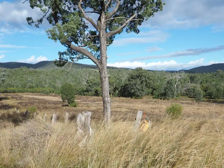 Fifth view of Homely land listing, 19 Narrabri Road, Bingara NSW 2404