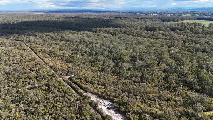 Seventh view of Homely rural property listing, 914 Stuarts Point Rd, Stuarts Point NSW 2441