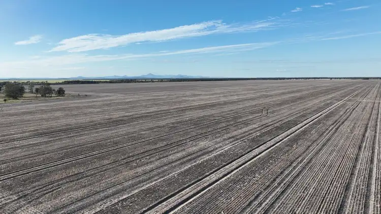 Wattle Glen & Burrenbah