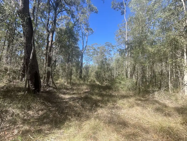 Second view of Homely rural property listing, Candido Rise, New Italy NSW 2472