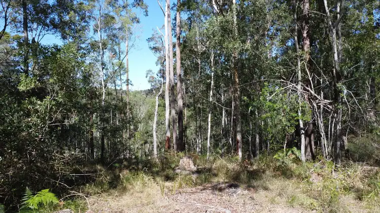 Third view of Homely rural property listing, Candido Rise, New Italy NSW 2472