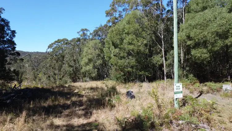 Fifth view of Homely rural property listing, Candido Rise, New Italy NSW 2472