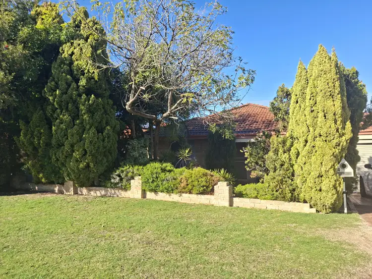 Second view of Homely house listing, 4 Whitepeak Pl, Padbury WA 6025