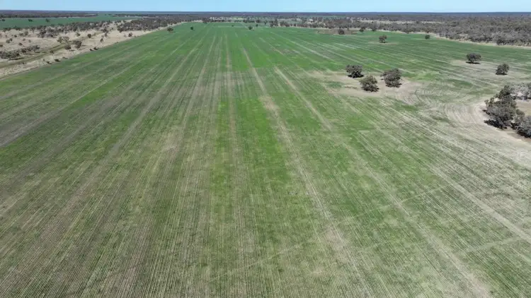 Rosewood, Collarenebri NSW 2833