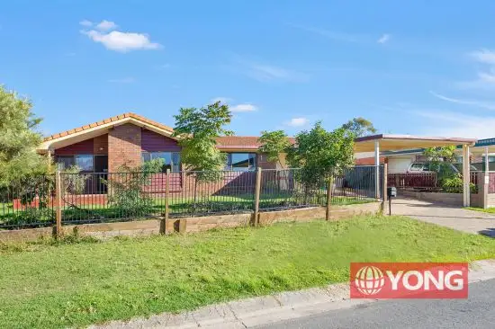 Main view of Homely house listing, 45 Cordia Street, Algester QLD 4115