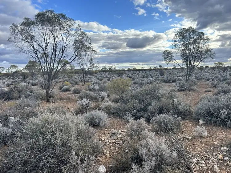 Third view of Homely land listing, Section 32 Slaughterhouse Road, Morgan SA 5320