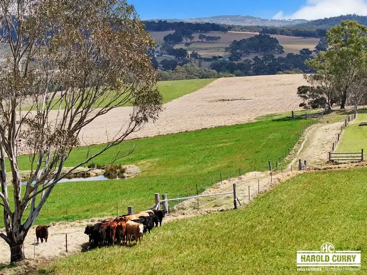 Fifth view of Homely rural property listing, 148 Scotts Gully Road, Sandy Flat via, Tenterfield NSW 2372