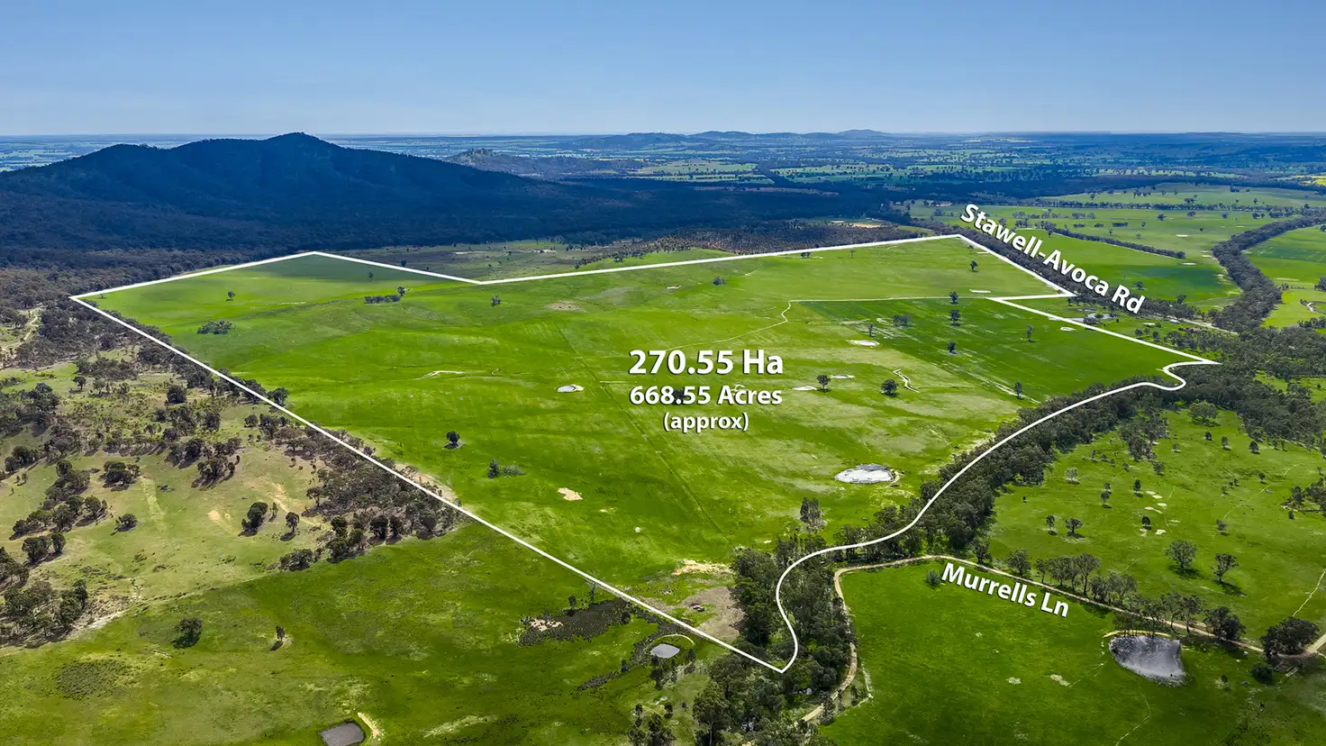 Main view of Homely rural property listing, Murrells Lane, Frenchmans VIC 3384