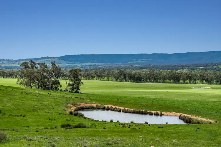 Third view of Homely rural property listing, Murrells Lane, Frenchmans VIC 3384