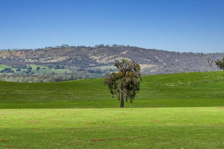 Sixth view of Homely rural property listing, Murrells Lane, Frenchmans VIC 3384