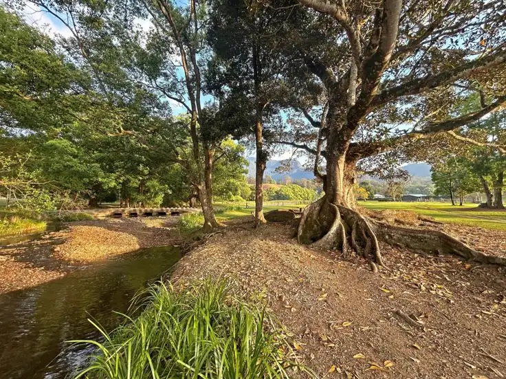 Third view of Homely rural property listing, 530-542 & 569 Upper Crystal Creek Road, Upper Crystal Creek NSW 2484