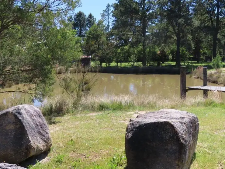 Fourth view of Homely rural property listing, 10 Munson Lane, Thulimbah QLD 4376
