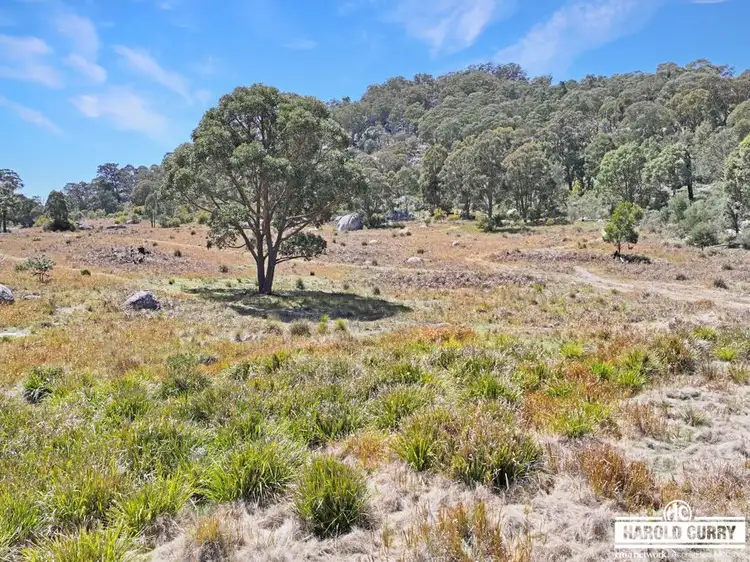 Fifth view of Homely land listing, 321 Gunyah Road, Tenterfield NSW 2372