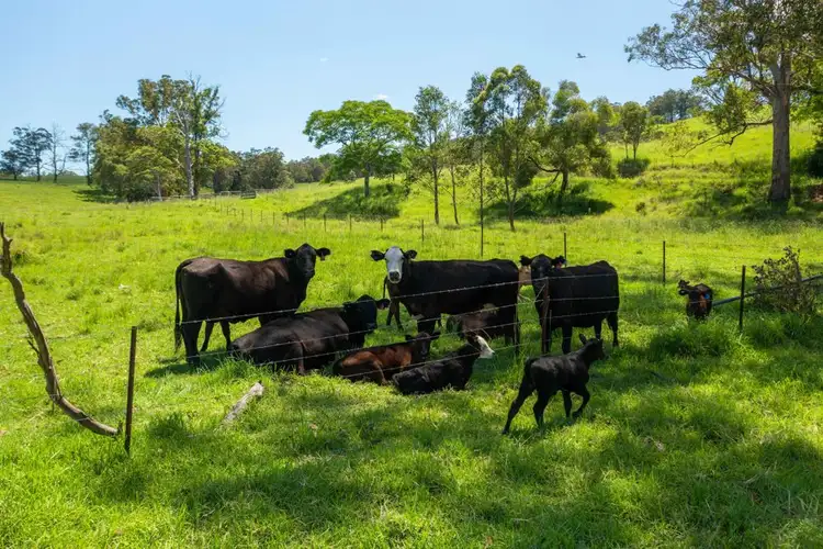 Fourth view of Homely house listing, 5/310 Yessabah Rd, Yessabah NSW 2440