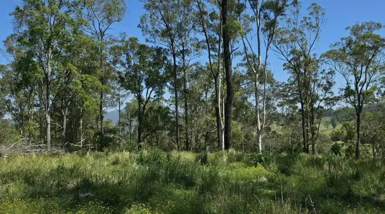Fourth view of Homely rural property listing, 1/310 Yessabah Rd, Yessabah NSW 2440