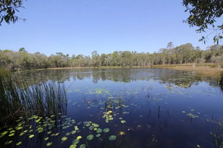 Third view of Homely rural property listing, 876 Pacific Drive, Deepwater QLD 4674