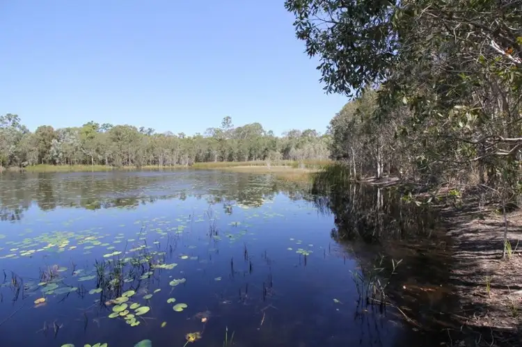 Fourth view of Homely rural property listing, 876 Pacific Drive, Deepwater QLD 4674