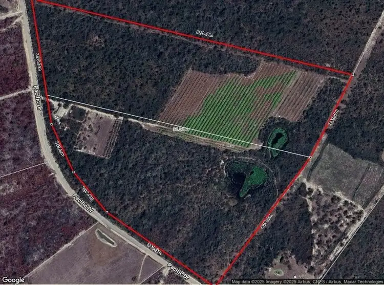 Fifth view of Homely rural property listing, 876 Pacific Drive, Deepwater QLD 4674