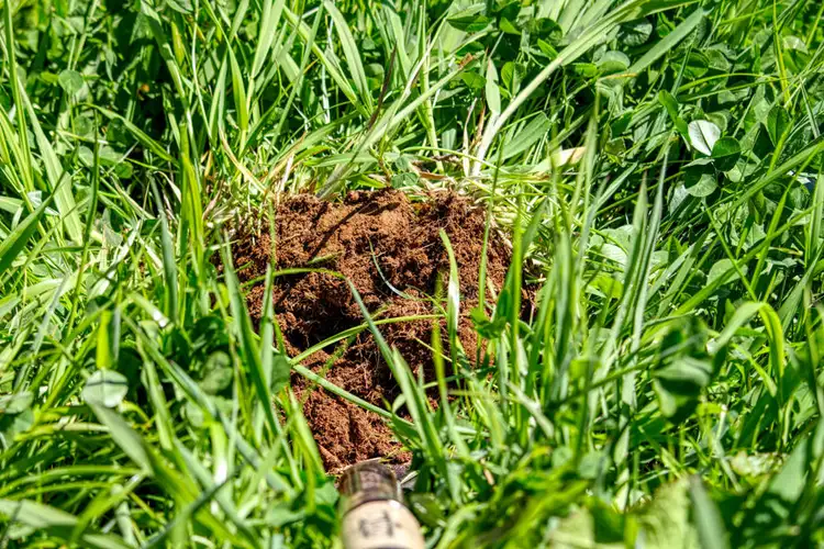 Fifth view of Homely rural property listing, Address available on request