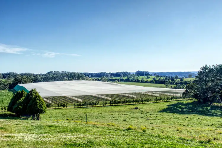 Fifth view of Homely rural property listing, Address available on request