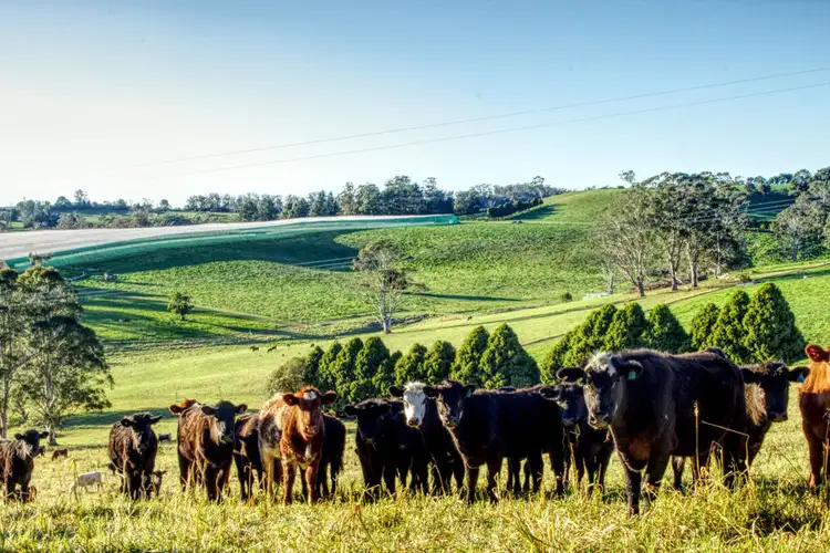 Sixth view of Homely rural property listing, Address available on request