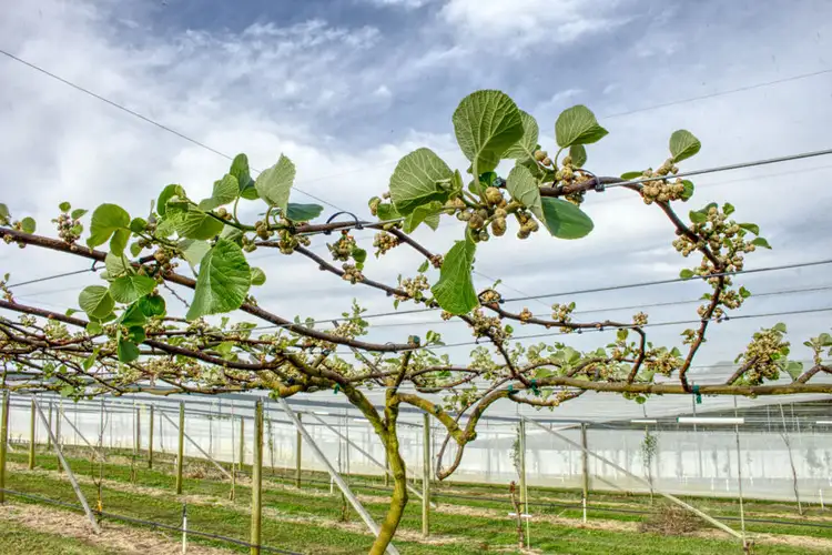 Sixth view of Homely rural property listing, Address available on request