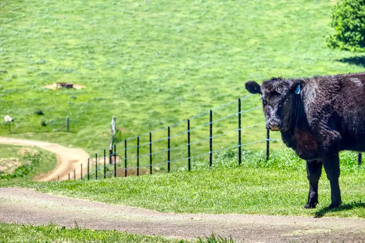 Seventh view of Homely rural property listing, Address available on request