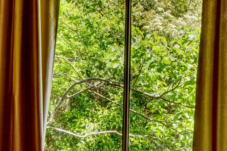 Fourth view of Homely house listing, 17 Hickory Street, Dorrigo NSW 2453