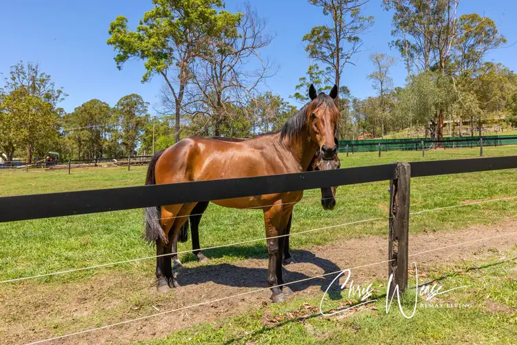 Fifth view of Homely rural property listing, 1 Nonmus Road, Stanmore QLD 4514