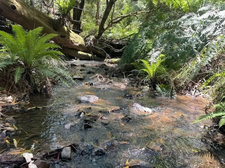 Third view of Homely rural property listing, 299 Tilbaroo Rd, Elands NSW 2429