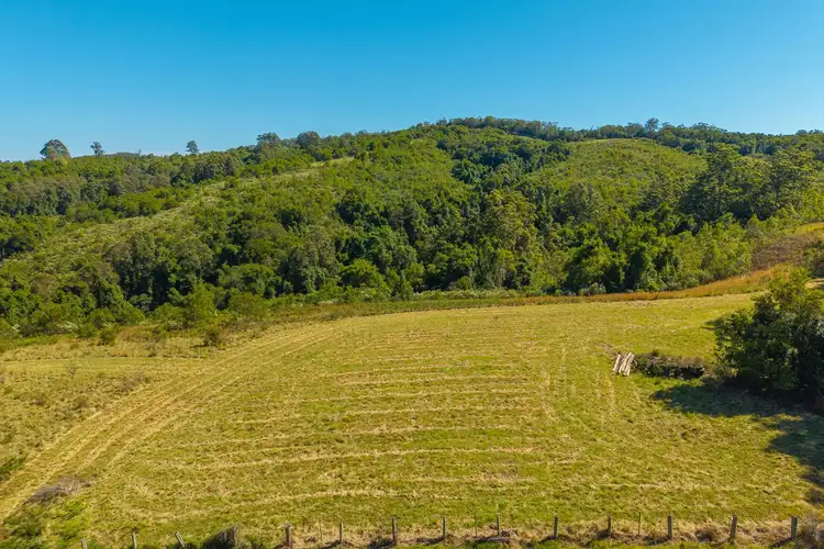 Fourth view of Homely rural property listing, 299 Tilbaroo Rd, Elands NSW 2429