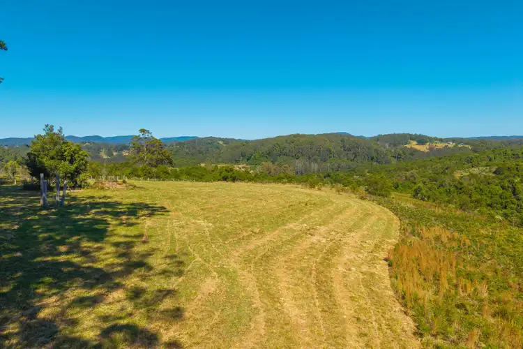 Fourth view of Homely rural property listing, 299 Tilbaroo Rd, Elands NSW 2429