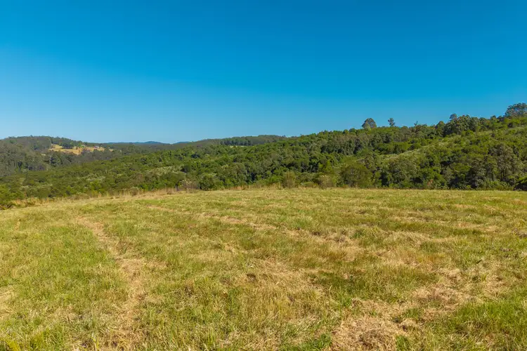 Fifth view of Homely rural property listing, 299 Tilbaroo Rd, Elands NSW 2429