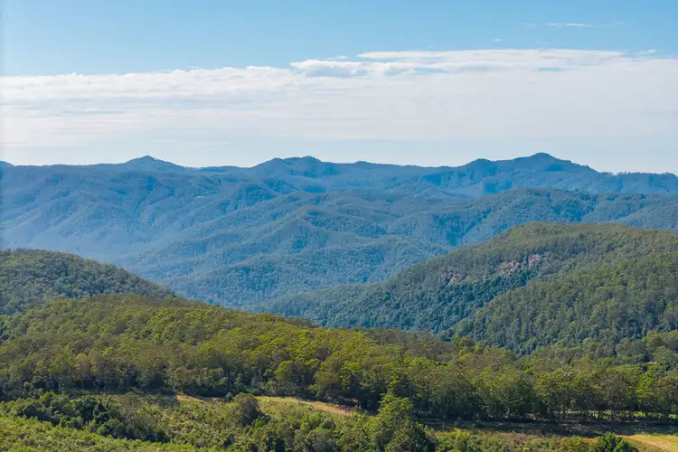 Fifth view of Homely rural property listing, 299 Tilbaroo Rd, Elands NSW 2429