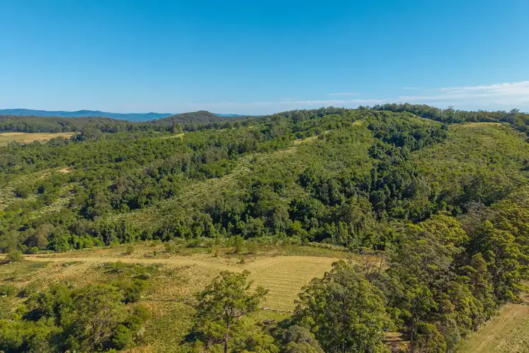 Seventh view of Homely rural property listing, 299 Tilbaroo Rd, Elands NSW 2429