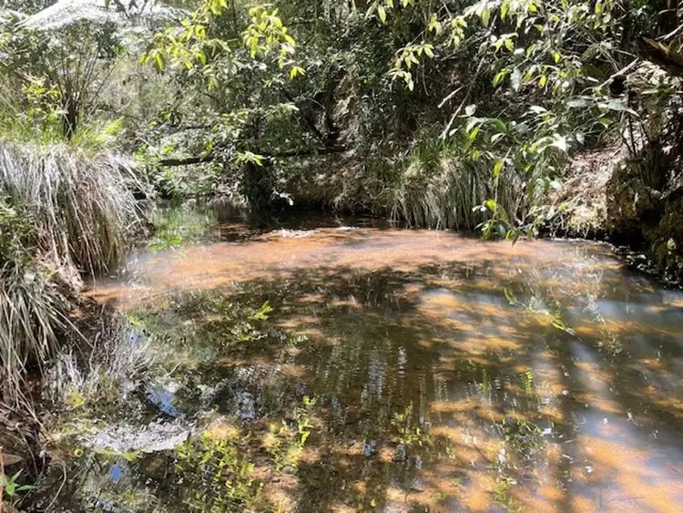 Seventh view of Homely rural property listing, 299 Tilbaroo Rd, Elands NSW 2429