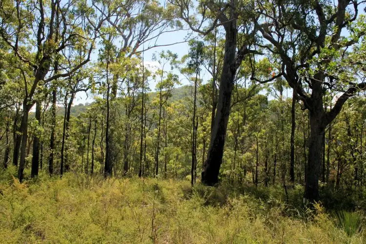 Fifth view of Homely rural property listing, 57 Red Range Road, Upper Corindi NSW 2456