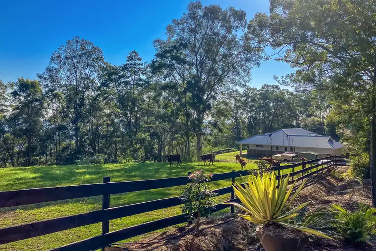 Third view of Homely house listing, 377 Palmwoods-Montville Road, Palmwoods QLD 4555