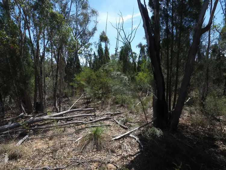 Seventh view of Homely land listing, Lot 23 Melrose Estate Road, Warialda NSW 2402